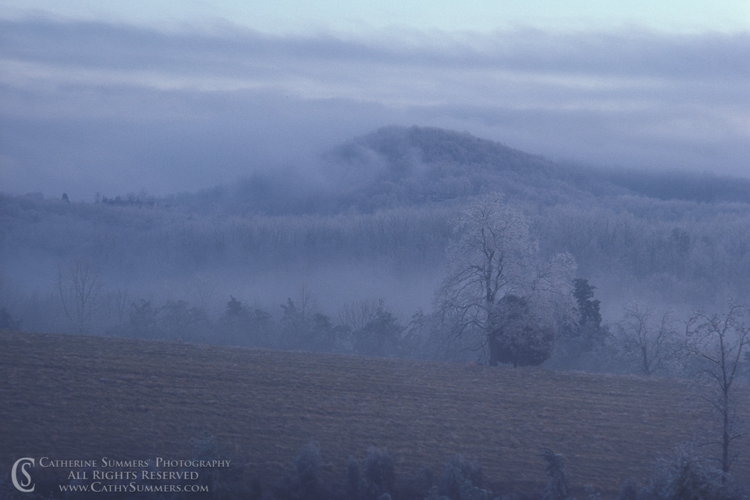 Title: Ice Storm Clearing; Keywords: clouds, horizontal, ice, trees, Virginia, Winter