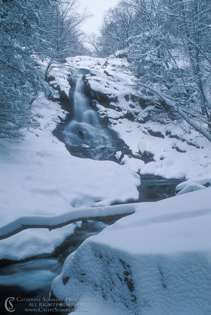 Title: White Oak Falls in Snow Storm; Keywords: shenandoah, snow, vertical, waterfall, whiteoak canyon, Winter