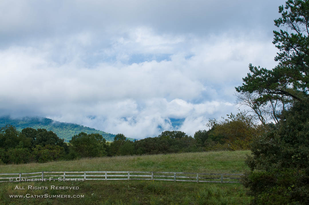 Summertime Field with Clouds on the Blue Ridge Mountains: Albemarle County, Virginia