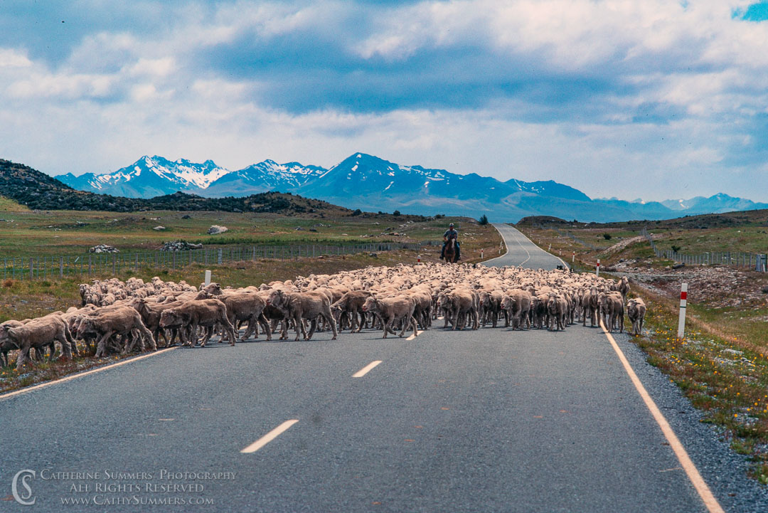 1988_NZ_004: clouds, horizontal, mountains, road, New Zealand, sheep