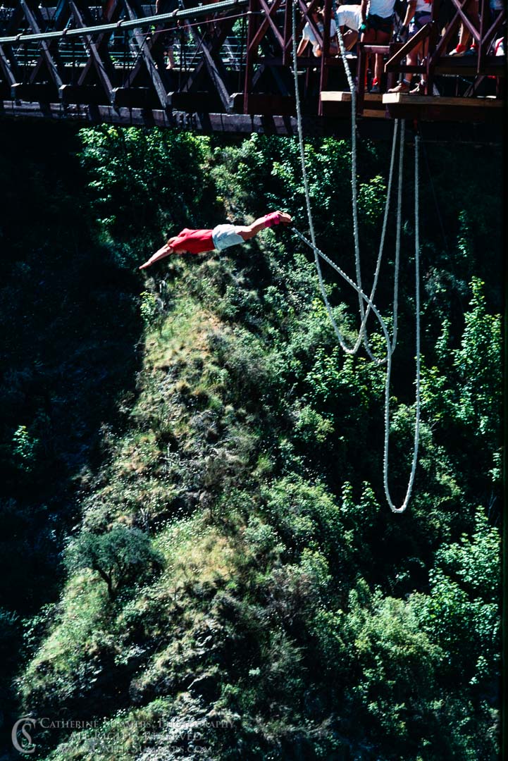 1988_NZ_011: vertical, New Zealand, South Island, bungee jumping, Queenstown