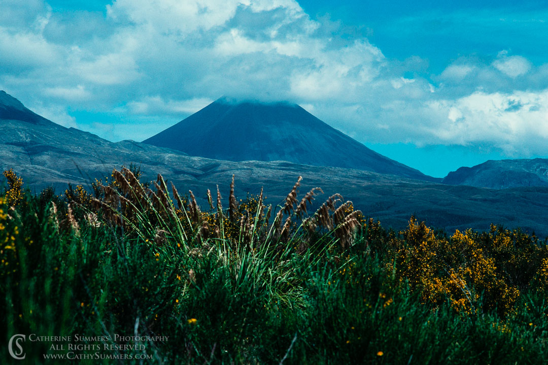 1988_NZ_018: horizontal, mountain, New Zealand, North Island, volcano