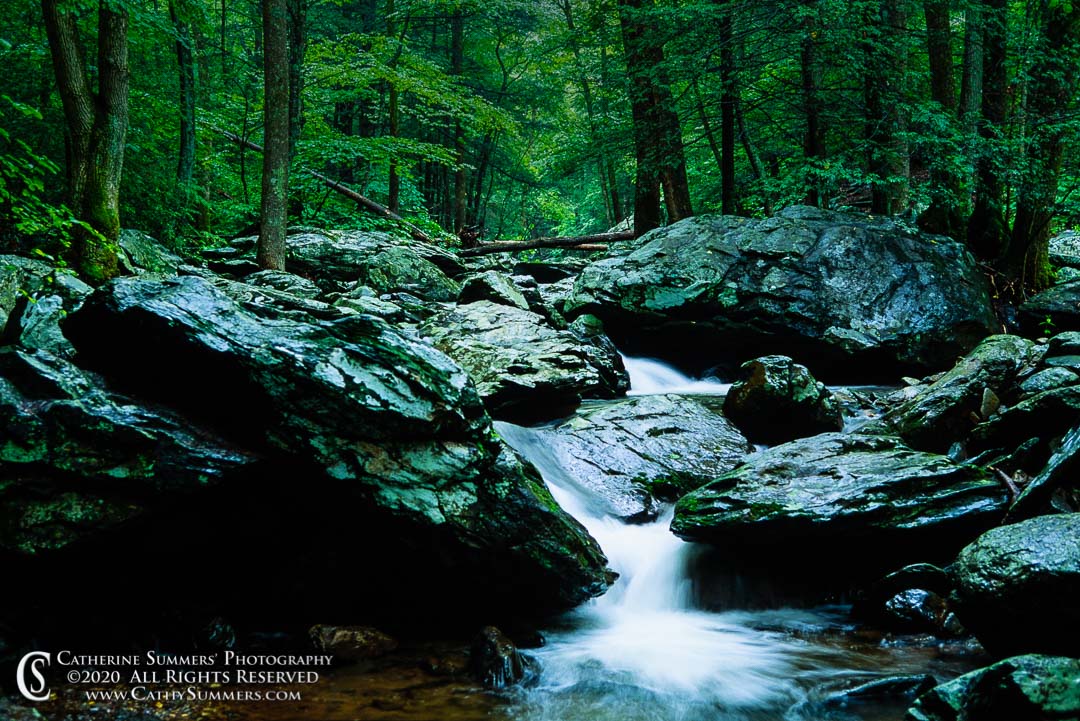 1992_0741_7504692: horizontal, spring, leaves, rain, rocks, trees, Shenandoah National Park, South Fork Moormans River, stream, green, boulders, cascade