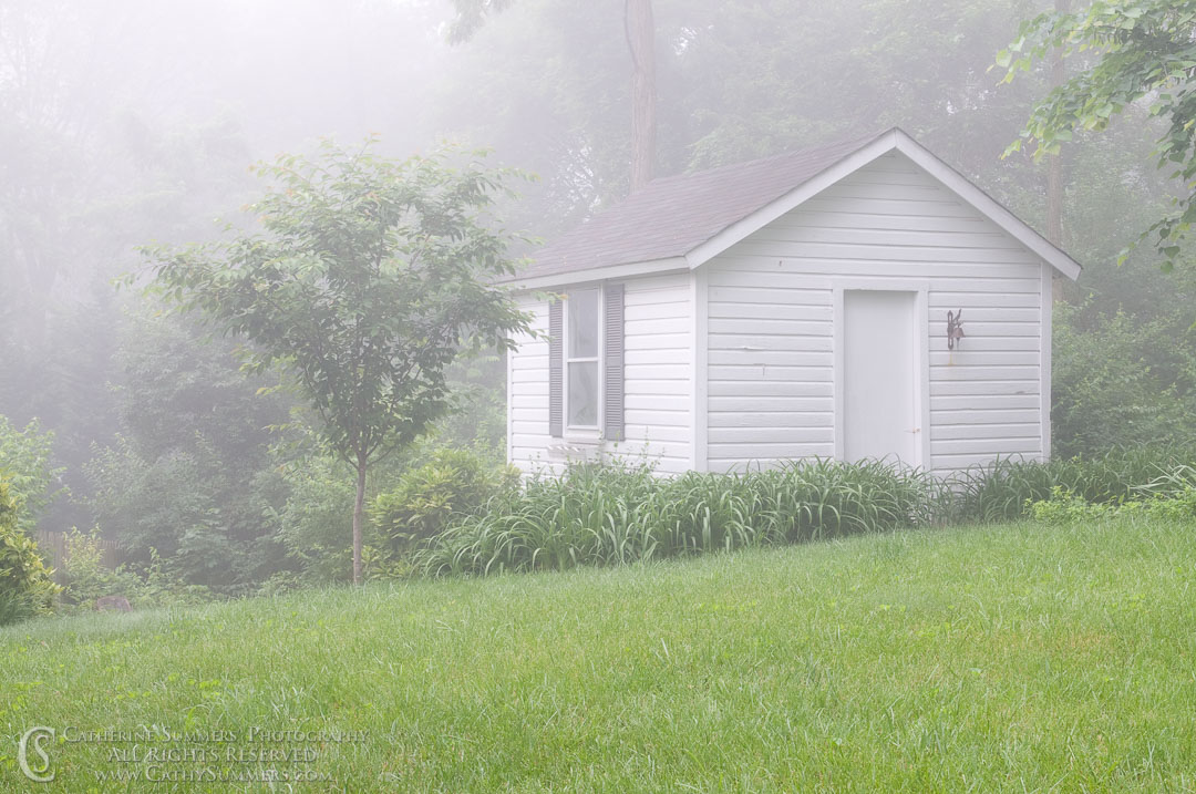Spring House on a Foggy Summer Morning: Falls Church, Virginia