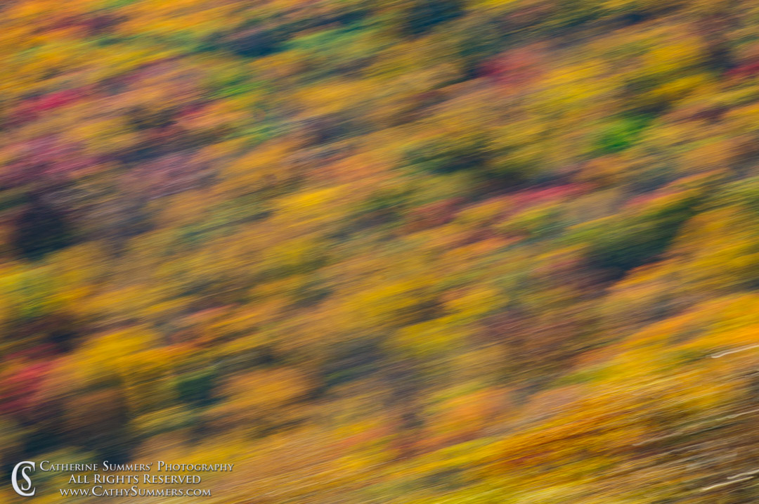 Fall Colors - Panning Blur #2: Shenandoah National Park, Virginia