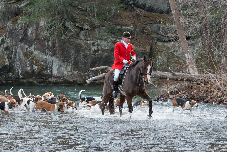 20131130_060: horizontal, Fox Hunting, Moormans River, river, Millington, hounds, Huntsman, Blue Hole, Moormans River < Albemarle, landscape