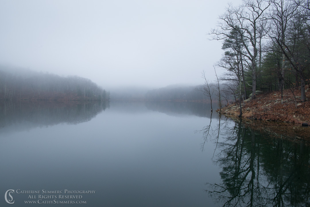 Reflections / Trees and Sleepy Hollow Reservoir in the Fog (Black & White): Albemarle County, Virginia