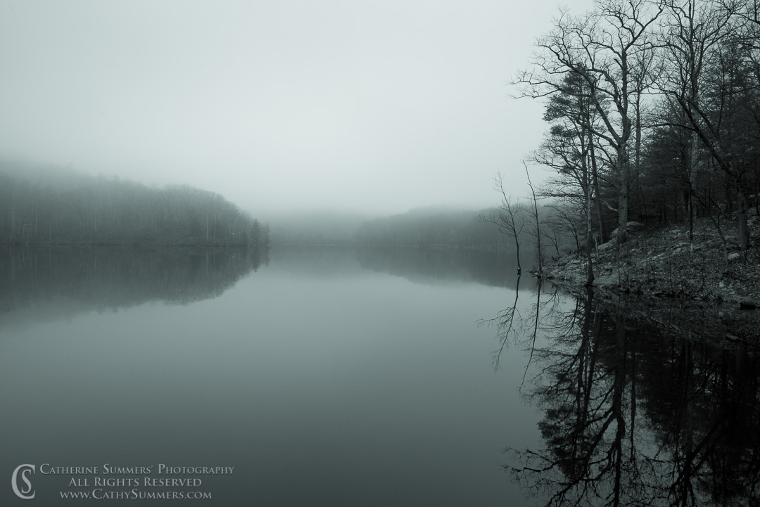 Reflections / Trees and Sleepy Hollow Reservoir in the Fog (Black & White): Albemarle County, Virginia