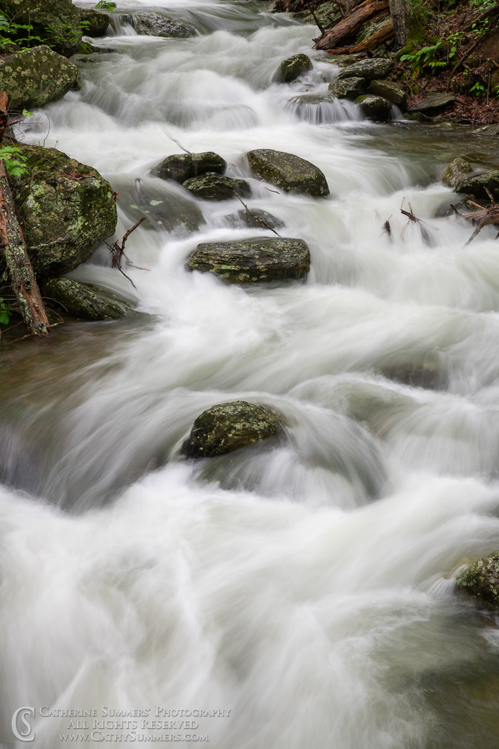 Long Exposure to Blur the Water - Rose River - 1/2 Seconds with no Filter: Shenandoah National Park, Virginia
