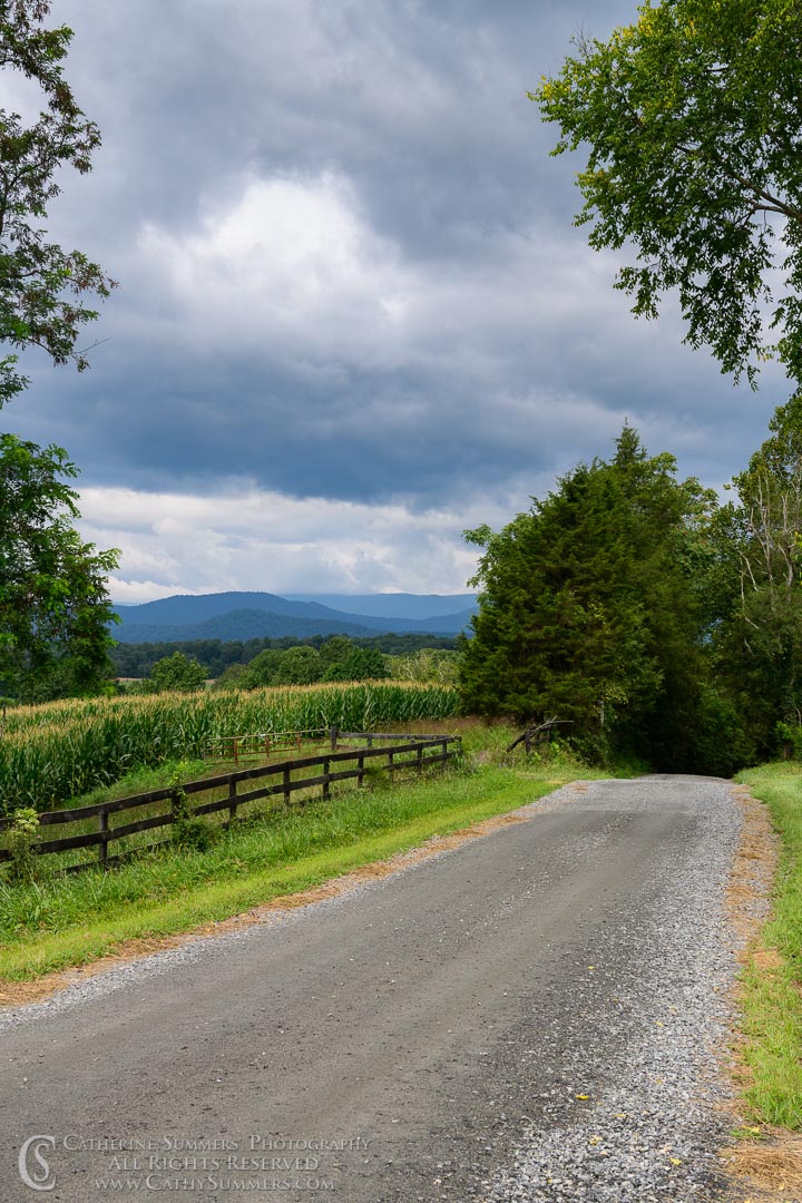 20180822_004: vertical, clouds, fence, summer, Blue Ridge Mountains, black and white, gravel road, corn field