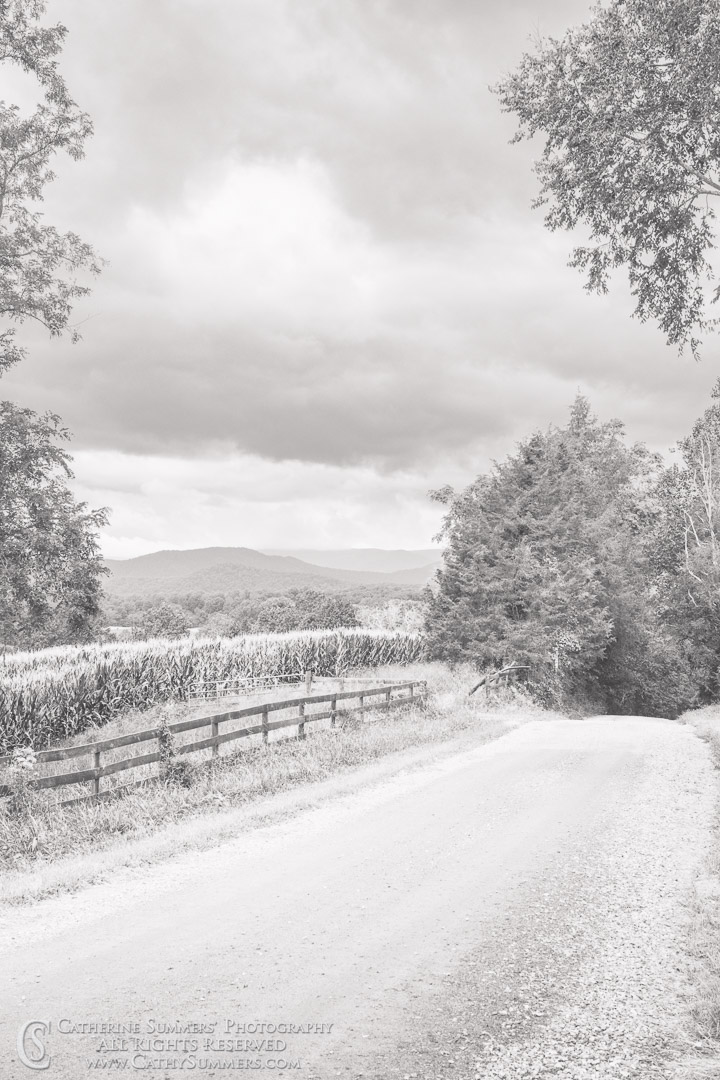 Country Road in Virginia Piedmont on a Summer Morning as Storm Brews Over the Blue Ridge Mountains - B∓W