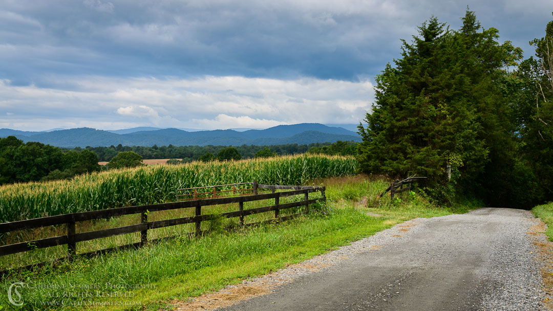 20180822_006: clouds, horizontal, fence, summer, Blue Ridge Mountains, black and white, gravel road, corn field