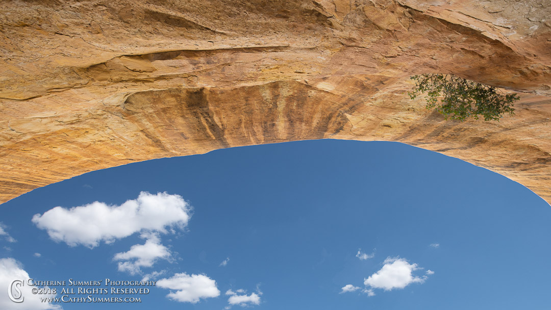 20180917_007: horizontal, cliff dwelling, Mesa Verde National Park, overhang, sky, Step House, Wetherill Mesa, landscape