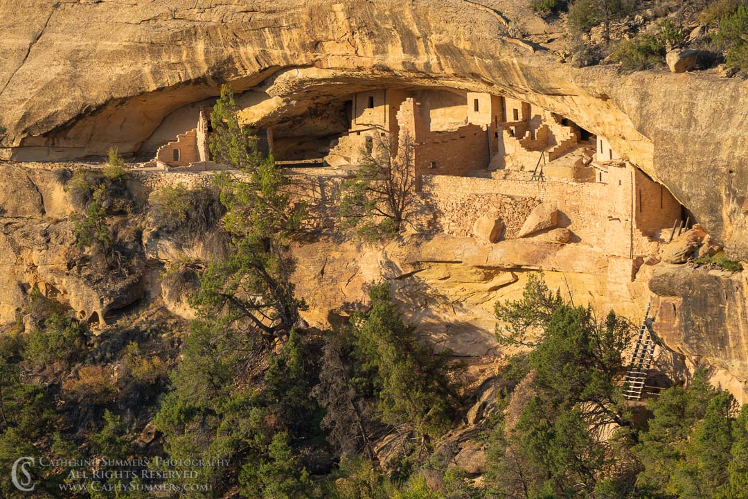 Balcony House Cliff Dwelling in Early Morning Light: Mesa Verde National Park