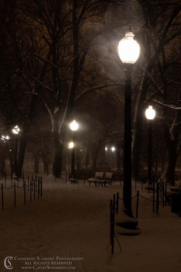 Street Lights in the Snow on the National Mall