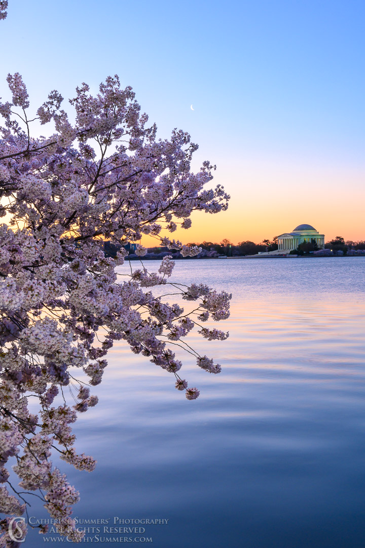 Cherry Blossoms and Jefferson Memorial with Dawn Colors Reflecting in the Tidal Basin - Orton Effect
