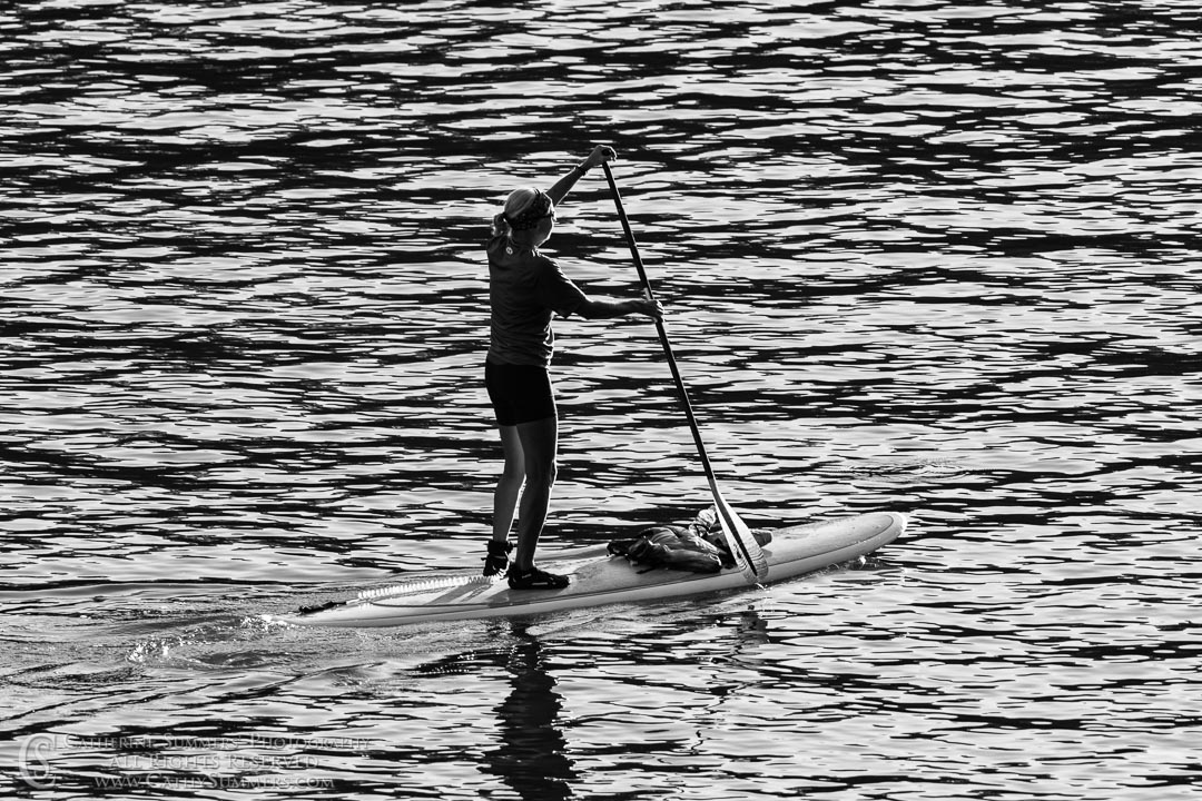 Silhouetted Paddleboarder in the Potomac River Above Key Bridge