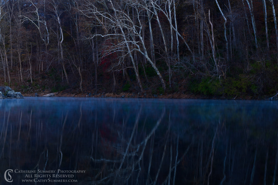 Tree Trunks and Reflections in the C&O Canal at Widewater at Dawn on a Late Autumn Morning