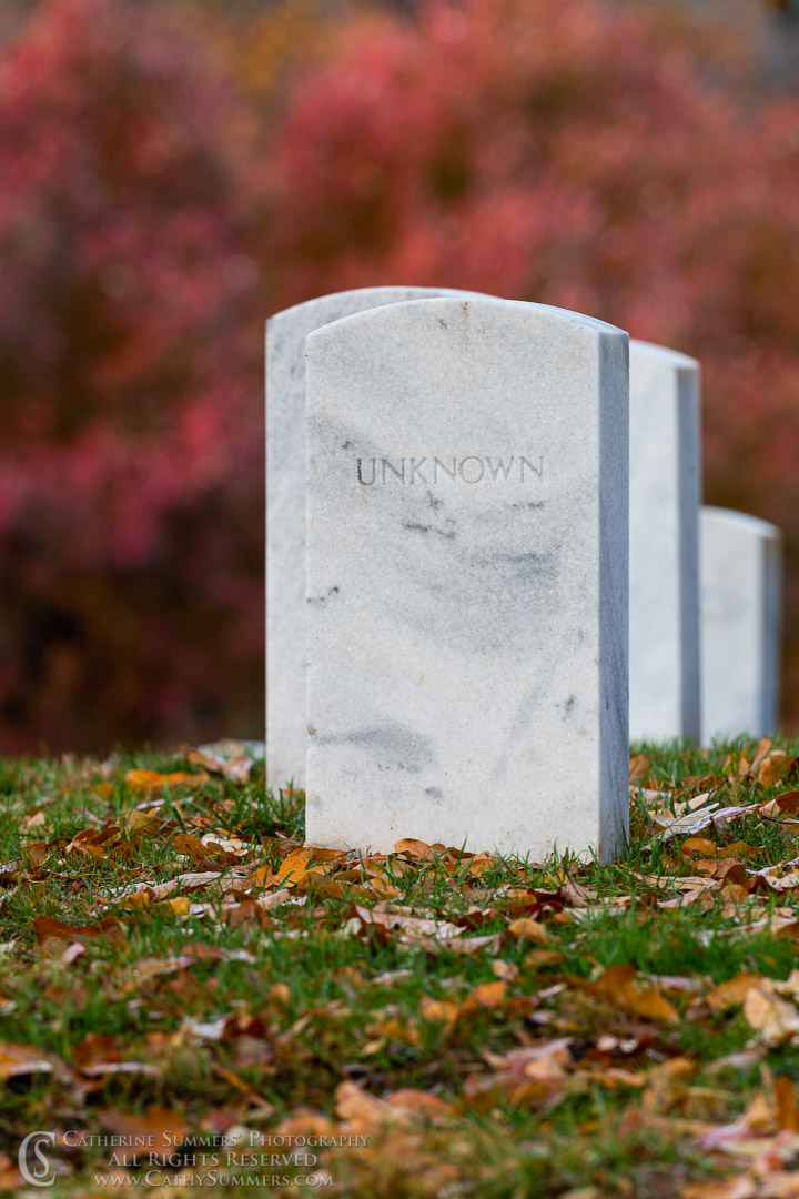 Unknown - Autumn Morning in Arlington National Cemetery