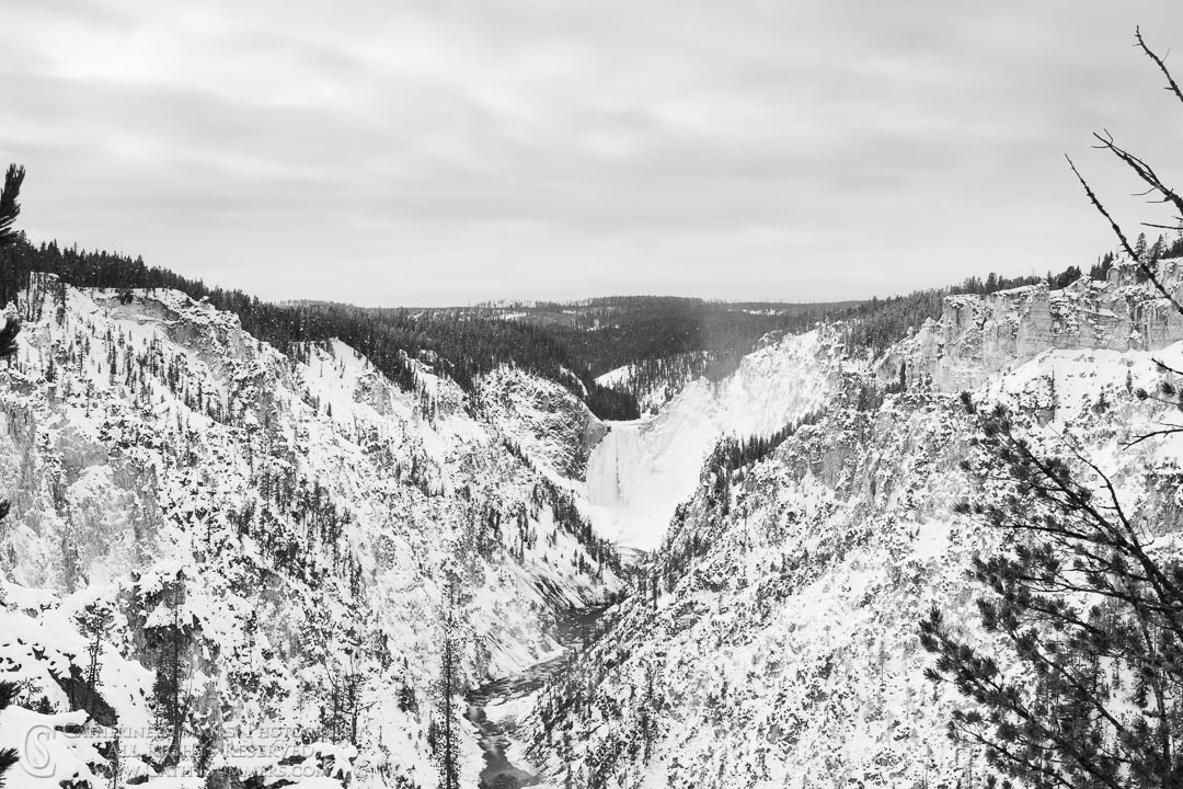 Lower Falls of the Yellowstone River in the Grand Canyon of the Yellowstone from Artists' Point - B&W