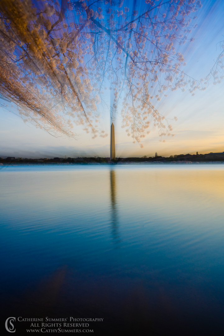 In Camera Zoom - Washington Monument and Cherry Blossoms  Reflected in the Tidal Basin at Sunrise