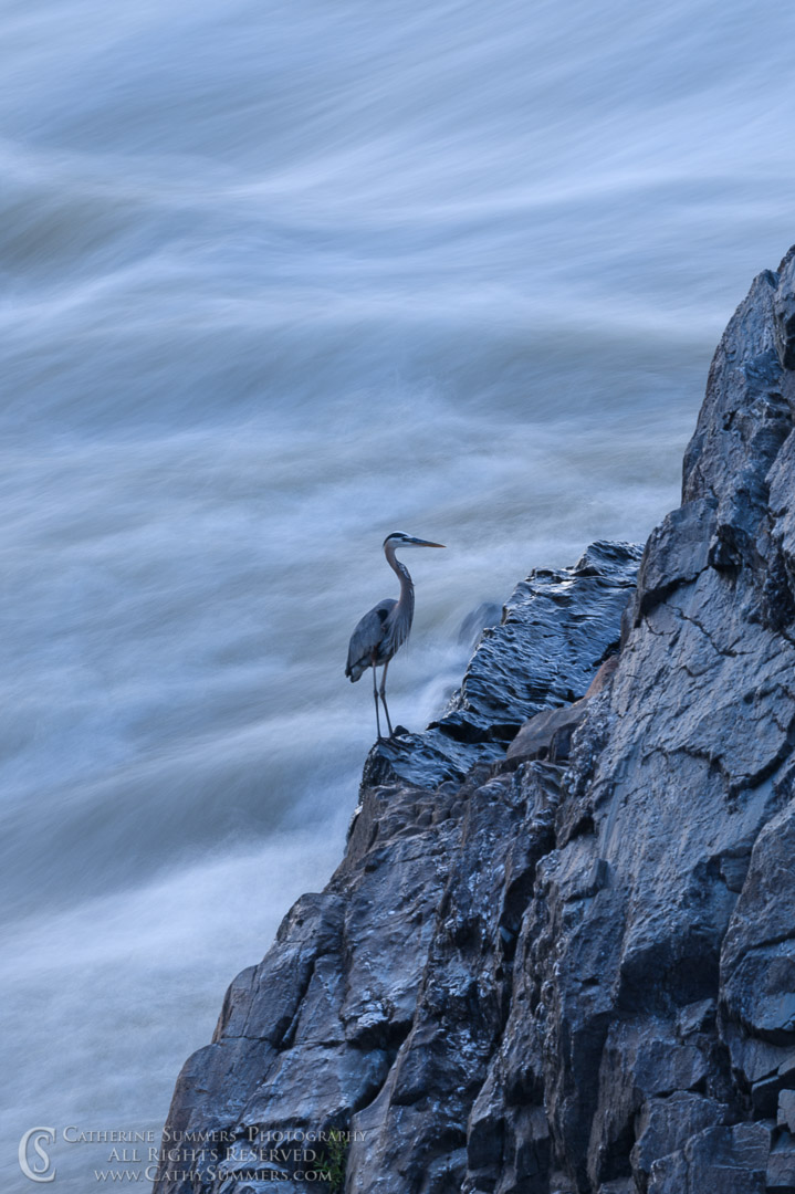 Heron and the Potomac River at Dusk - The sun had set and the paddlers left O'Deck as this Heron returned to the rocks at the base of the falls and stood still, enough, for a two second exposure.
