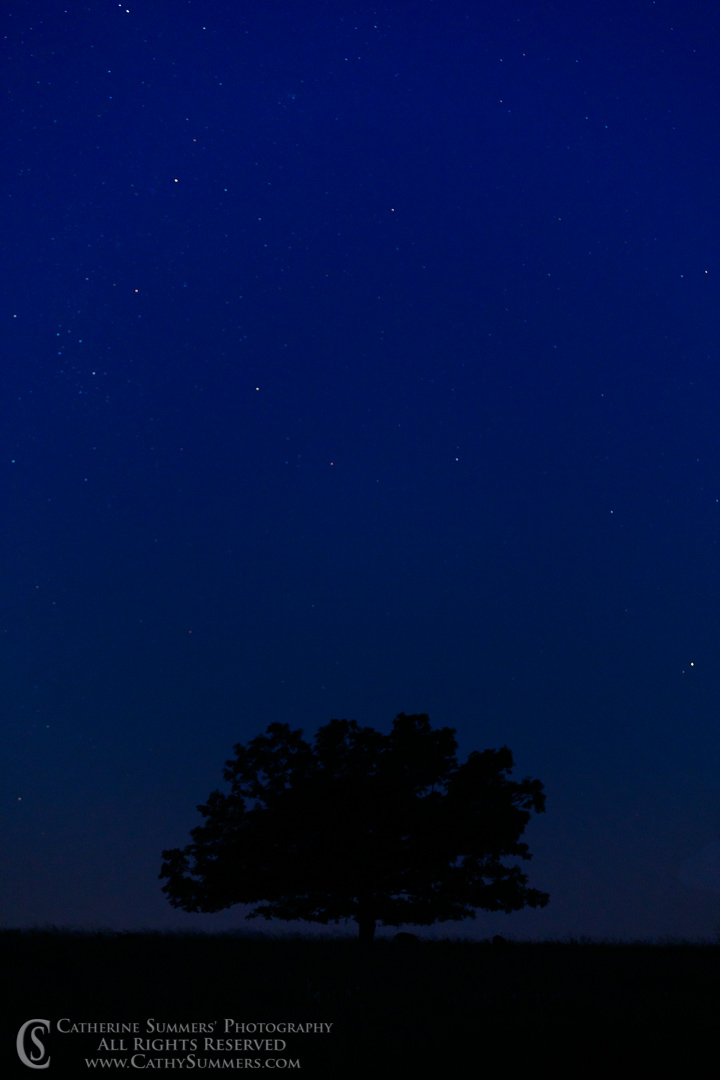 Stars Over Big Meadows Before Dawn
