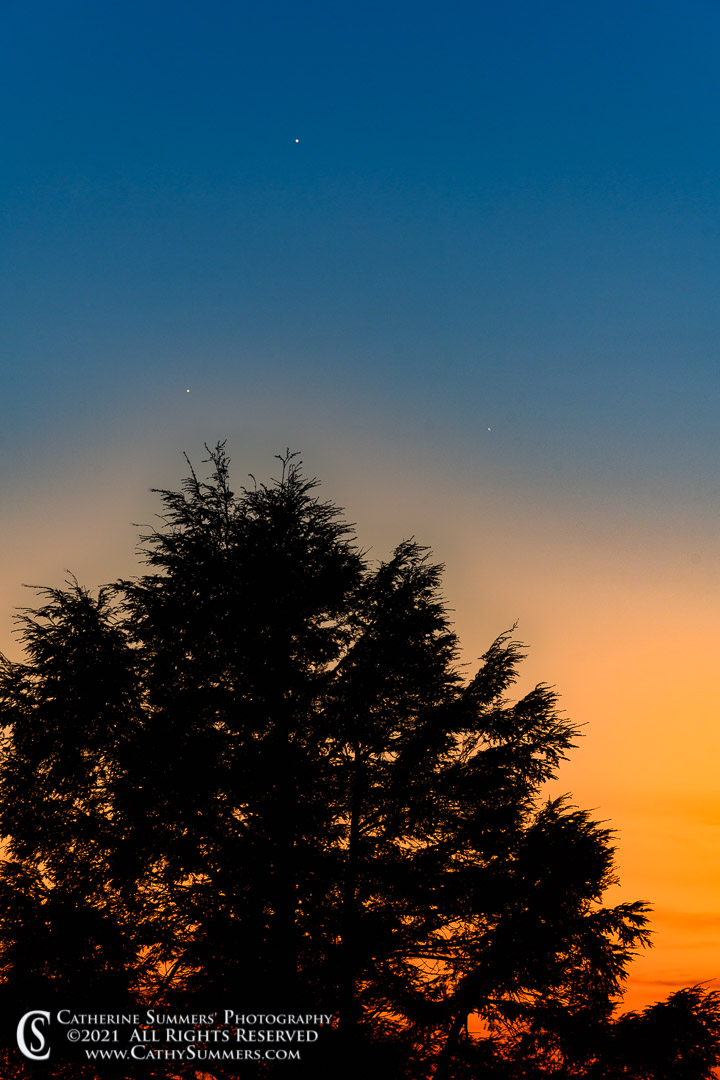 Triple Conjunction - Jupiter, Saturn and Mercury in the Sunset Over a Pine Tree at Big Meadows