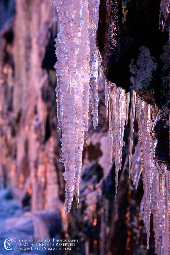Icicle in the Dawn Light on Skyline Drive