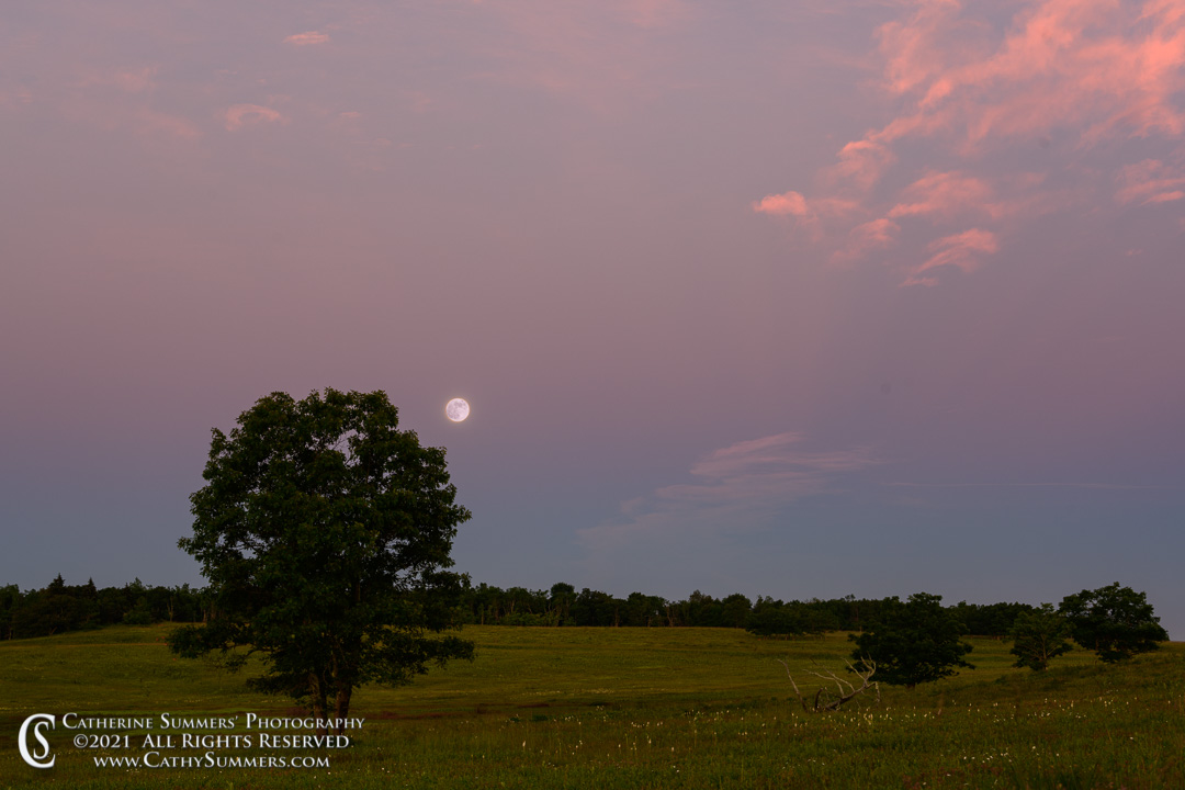 Dawn and the Strawberry Moon Over Big Meadows in Shenandoah National Park