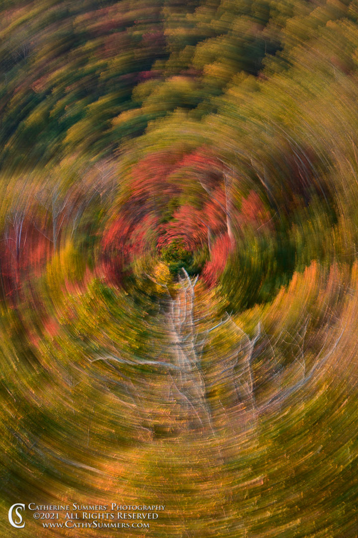 Autumn Colors in Shenandoah National Park - Intentional Camera Movement - Spin