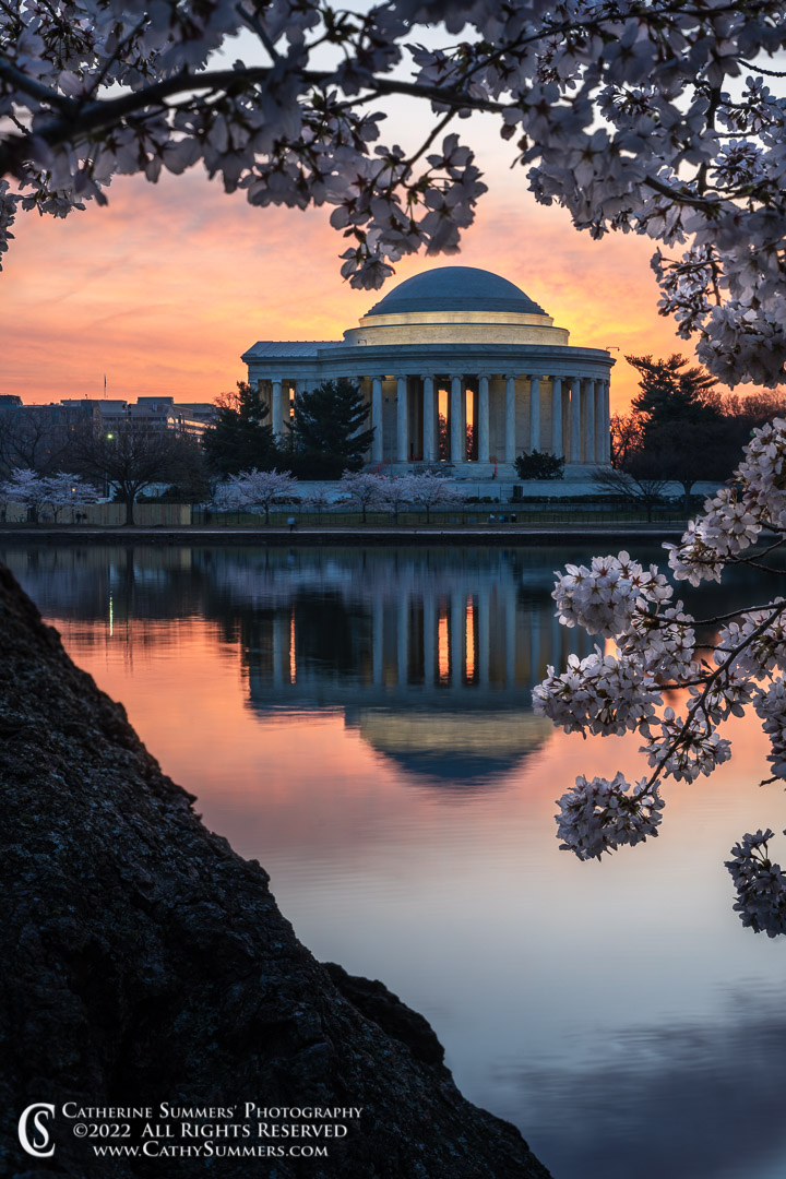20220322_017: vertical, Cherry Blossom, DC, Jefferson Memorial, Tidal Basin, Washington, reflection, sunrise
