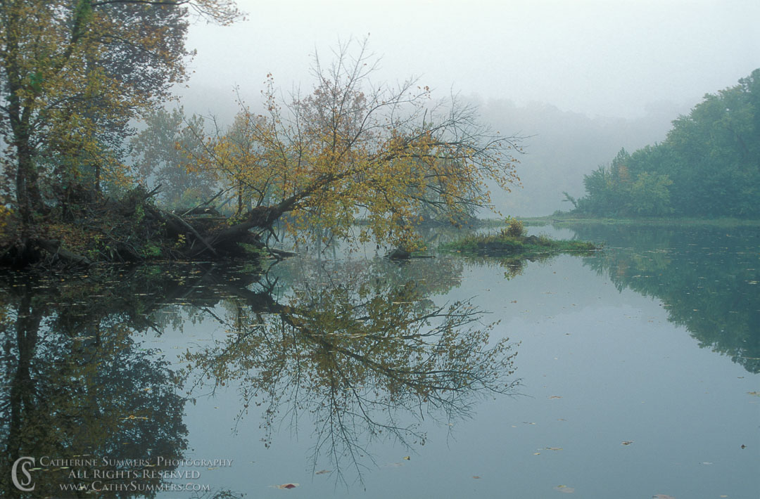 91_1431: reflection, horizontal, Potomac, autumn, morning, fog, landscape