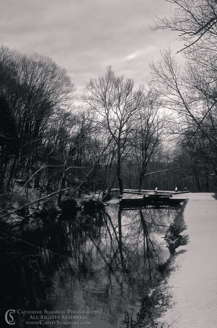 93_0101_BW: vertical, DC, Washington, reflection, C&O Canal, winter, black and white