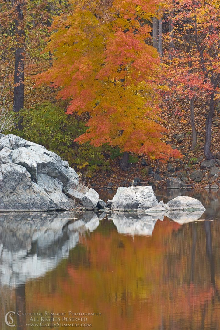 Autumn Morning Reflections in C&O Canal, #2: Great Falls National Park, Maryland