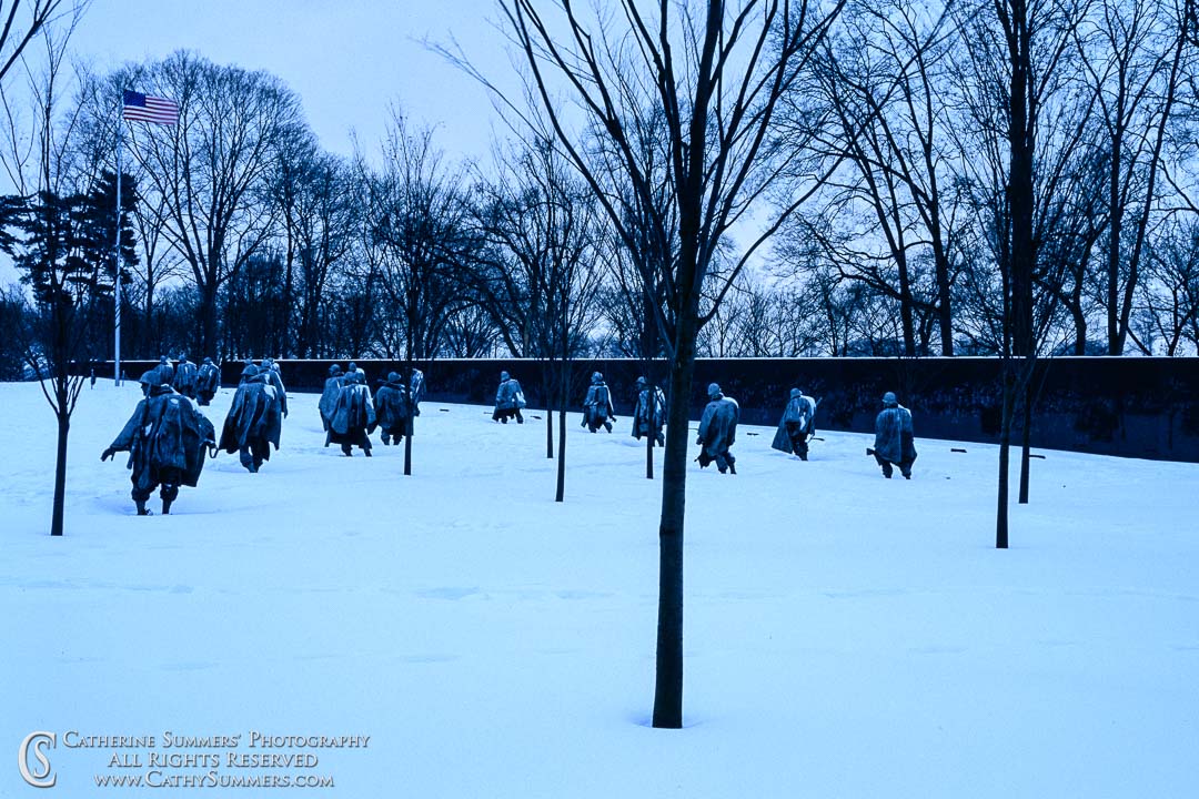 Blizzard at Korean War Veterans' Memorial: Washington, DC