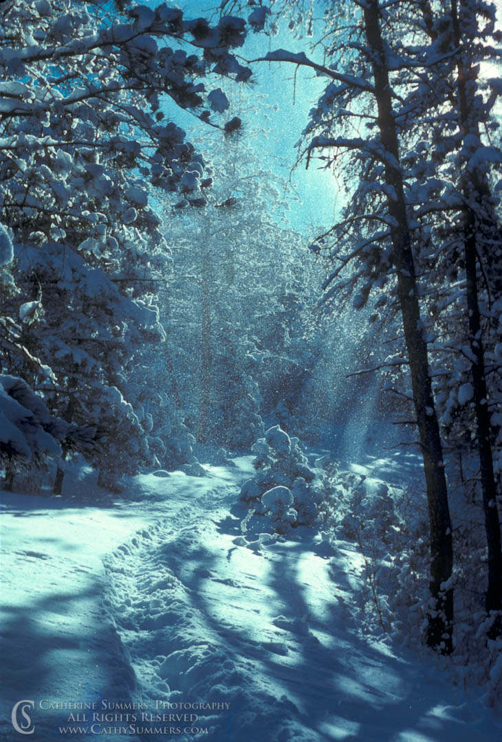 Snowy Trail #1 (Black & White): Boulder, Colorado