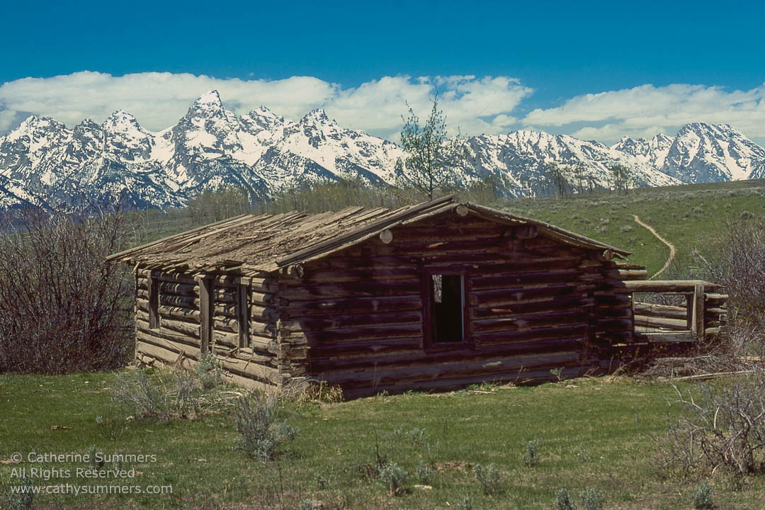 Abandoned Cabin and the Tetons: Grand Teton National Park 1979_05_005: horizontal, snow, Grand Teton, cabin, landscape