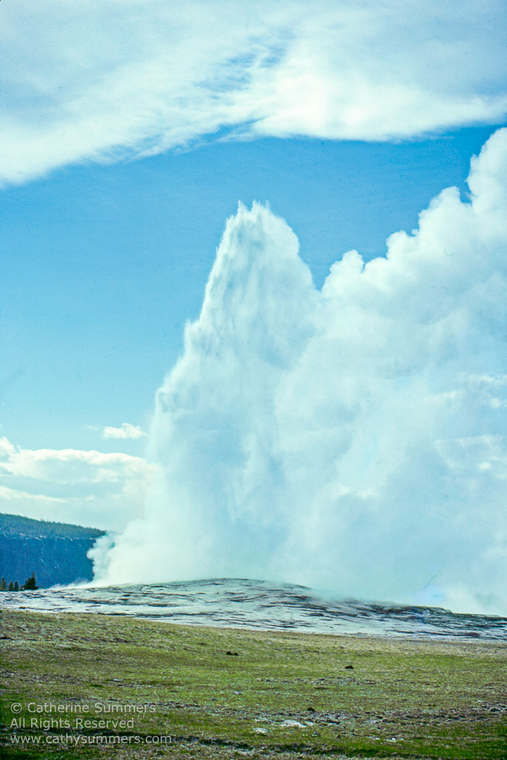 Old Faithful Errupting on a Late Spring Day in Yellowstone National Park 1979_05_010: