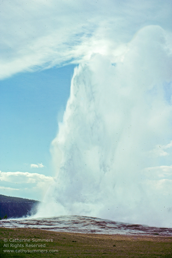 Old Faithful: Yellowstone National Park 1979_05_011: vertical, Yellowstone National Park, Old Faithful