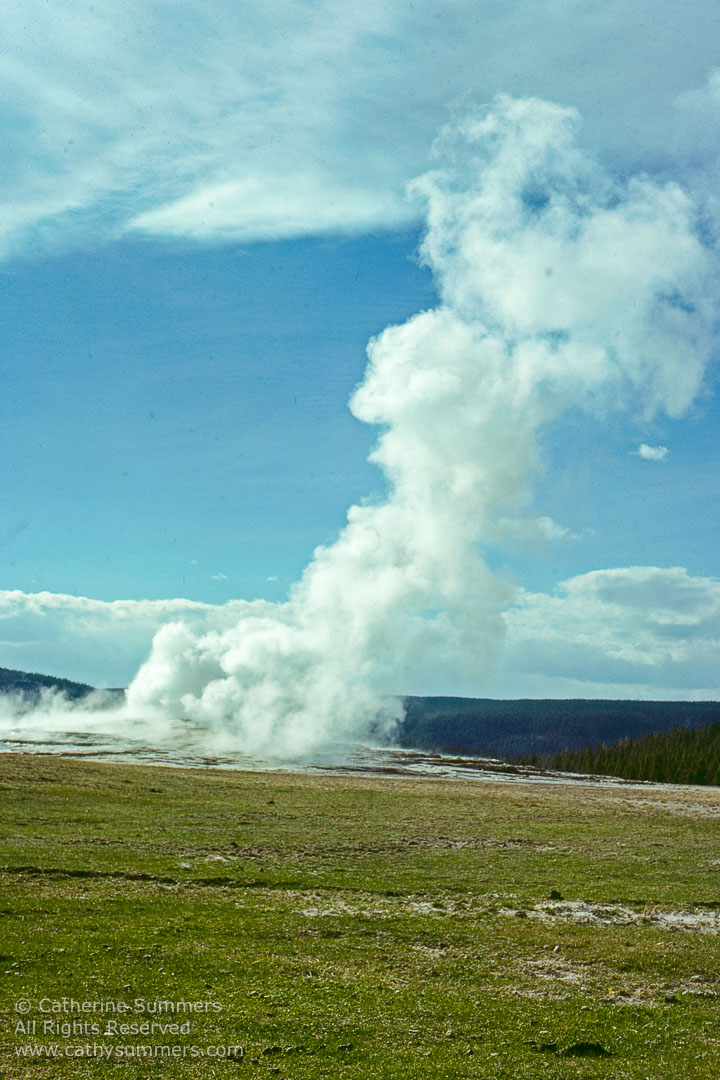 Old Faithful: Yellowstone National Park 1979_05_012: vertical, Yellowstone National Park, Old Faithful