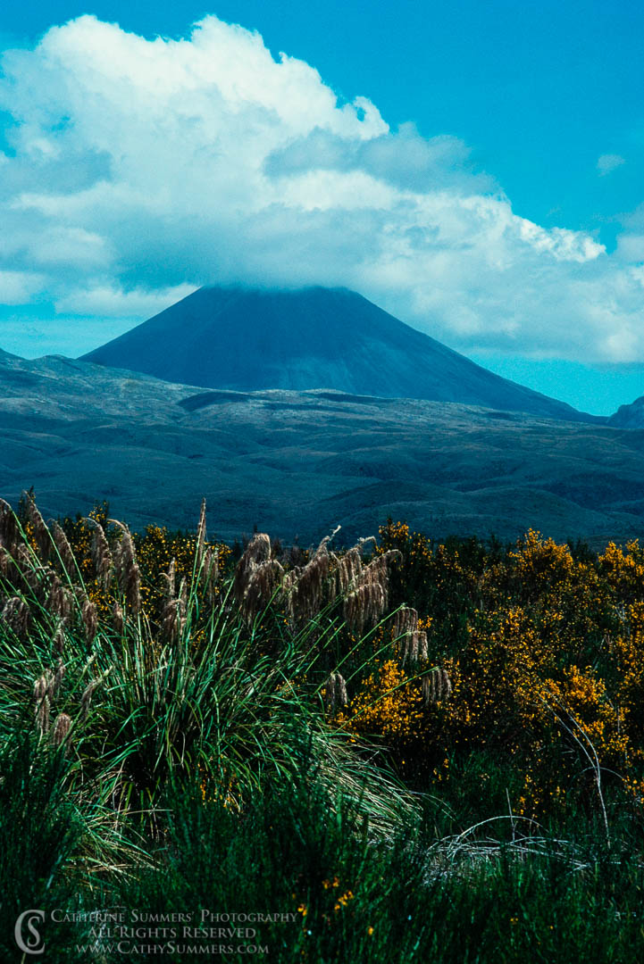 1988_NZ_017: vertical, mountain, New Zealand, North Island, volcano