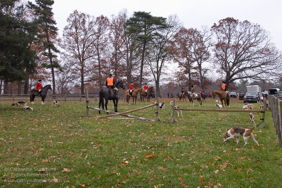 20071125_004: Farmington Hunt, Fox Hunting, Millington, Junior Hunt