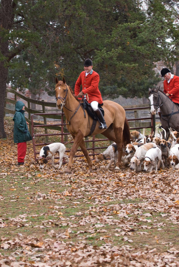 20071125_009: Farmington Hunt, Fox Hunting, Millington, Daron Beeney, Huntsman, Junior Hunt
