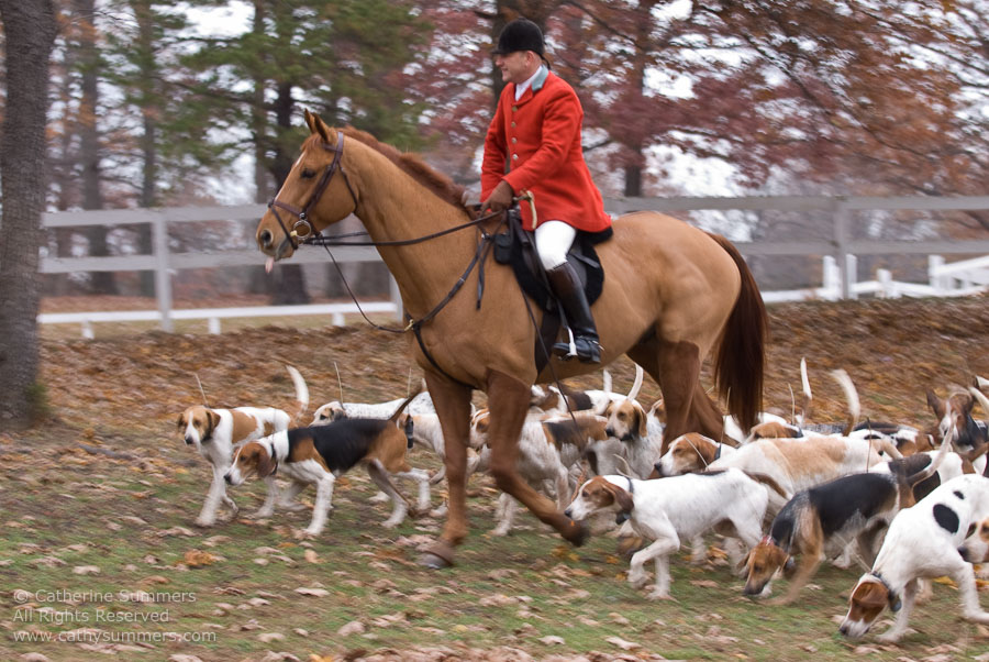 20071125_010: Farmington Hunt, Fox Hunting, Millington, Daron Beeney, hounds, Huntsman, Junior Hunt