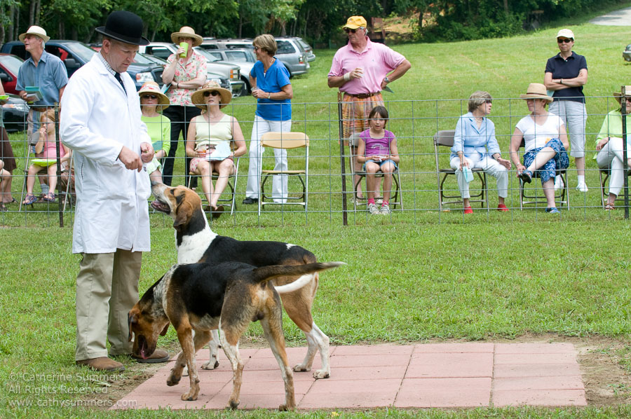 20080615_022: FHC, fox hounds, Puppy Show