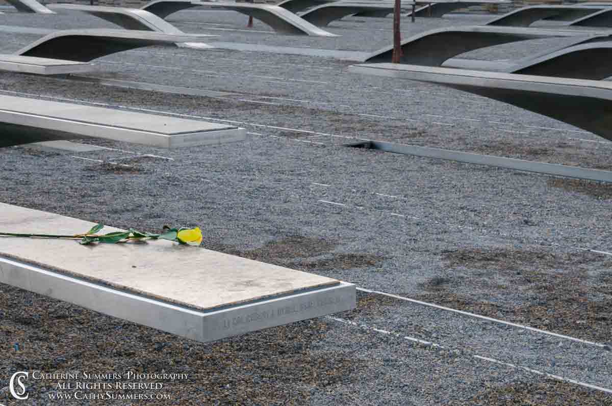 pentagon, 9/11, memorial, rose, yellow rose