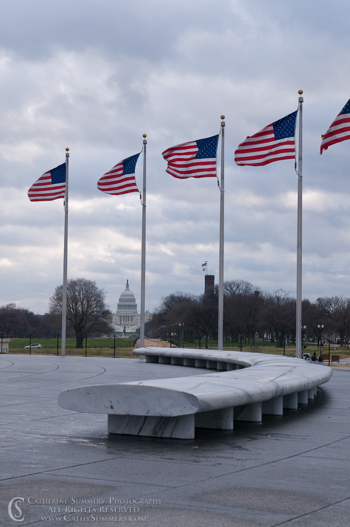 20081228_026: vertical, DC, Washington, Capitol, Washington Monument, bench, flags