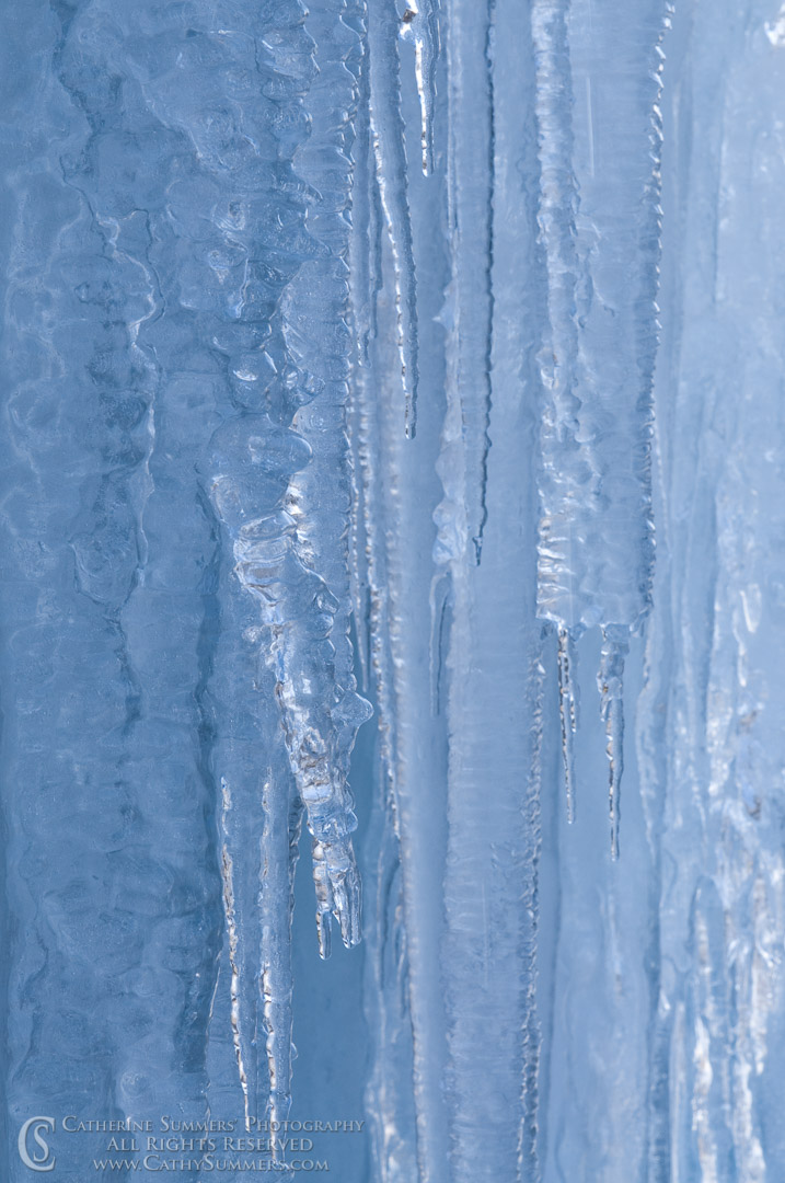 20090125_021: vertical, winter, ice