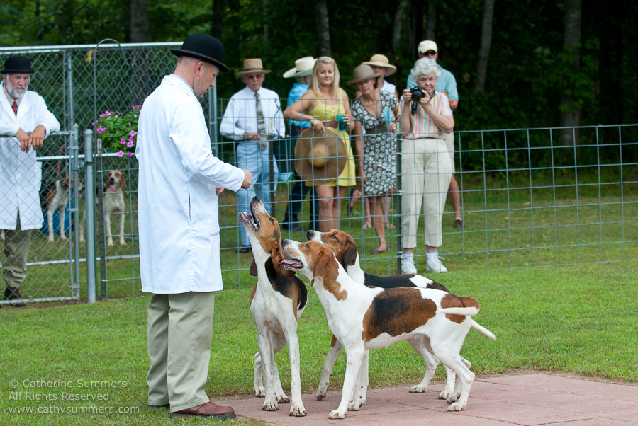 20100620_023: hounds